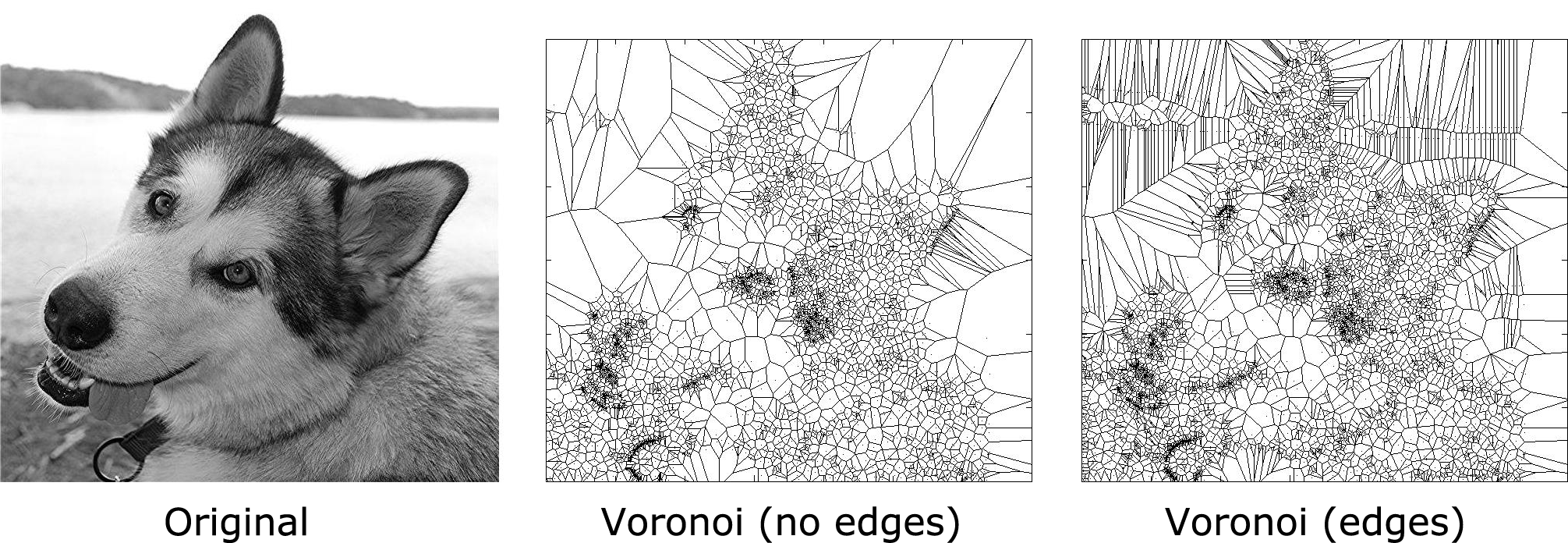 Voronoi art example: dog